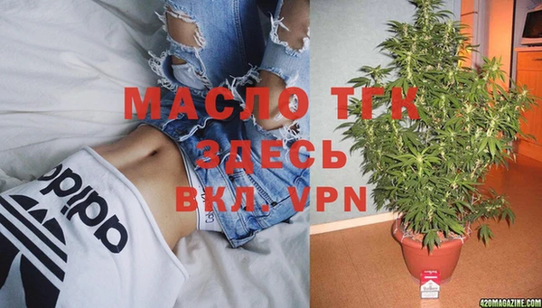 индика Рославль