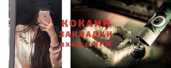 индика Аркадак