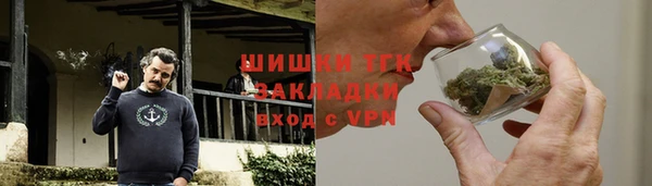 индика Аркадак