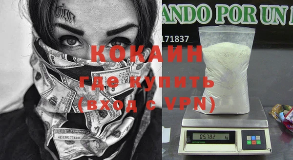 индика Аркадак