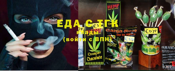 индика Аркадак