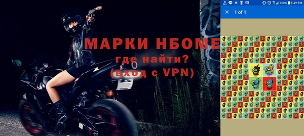 индика Аркадак