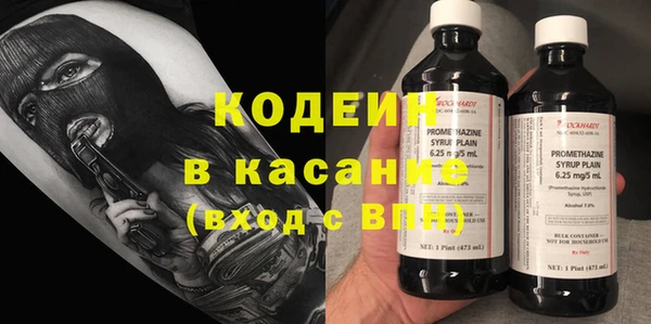 индика Аркадак