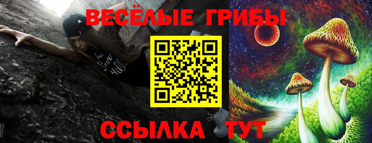 Псилоцибиновые грибы GOLDEN TEACHER Баксан