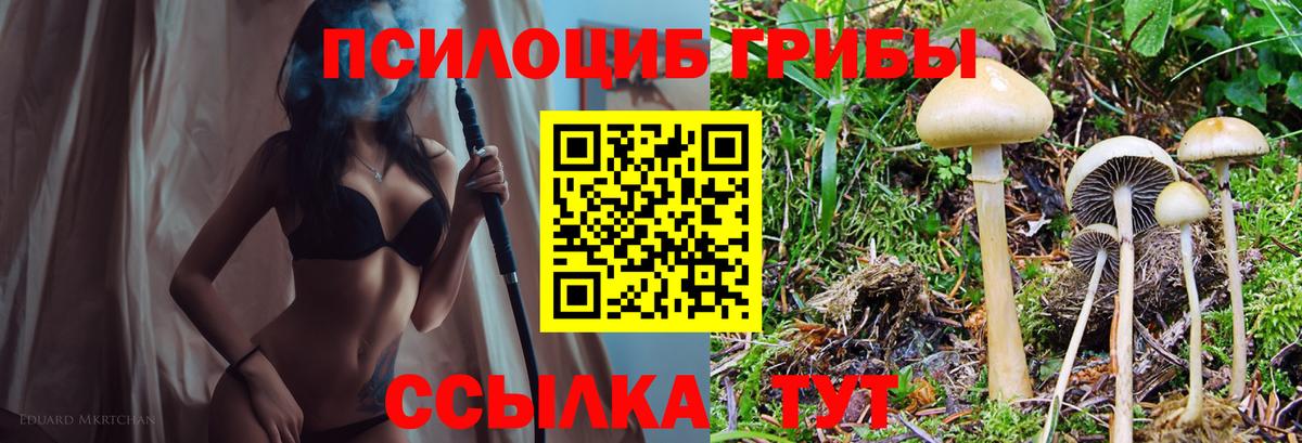 Псилоцибиновые грибы MAGIC MUSHROOMS  Вход с VPN  Галлюциногенные грибы мухоморы  Баксан 